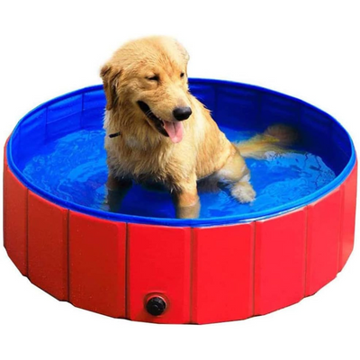 Piscina Plegable Para Mascotas